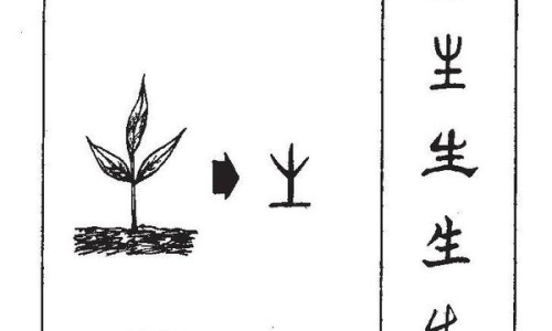维库溴铵用量及剂量-维库溴铵注射液副作用网-分享维库溴铵用药方案，维库溴铵注射剂说明书知识库
