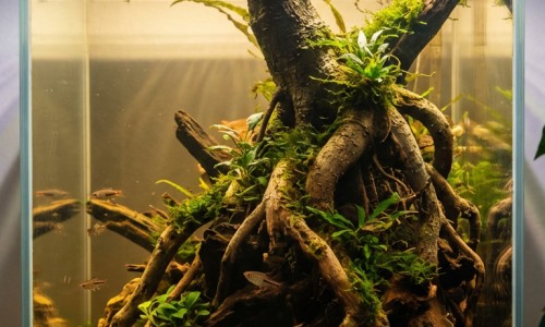 维库溴铵注射液副作用网-分享维库溴铵用药方案，维库溴铵注射剂说明书知识库